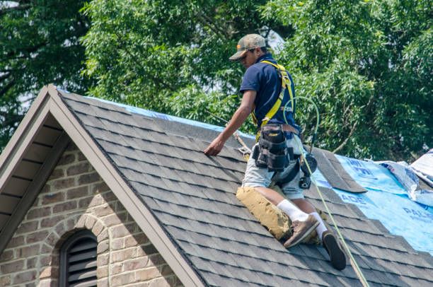 Professional Roofing Contractor in Pinewood Estates, TX